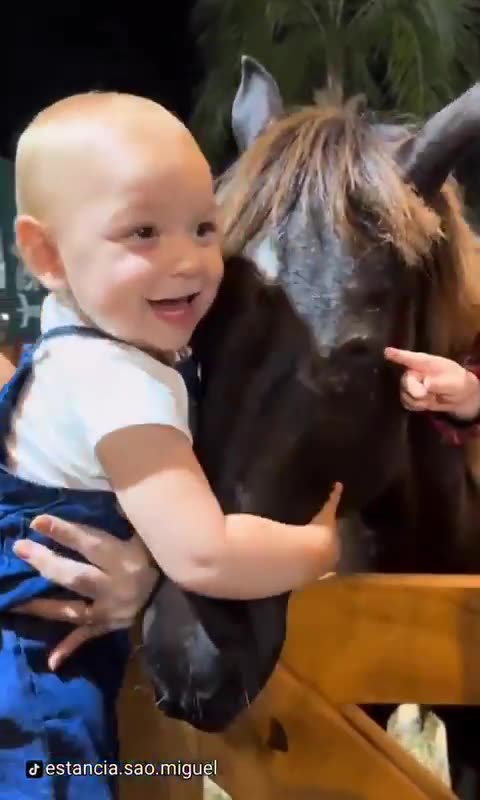 The horse couldn't resist the baby calling to pet