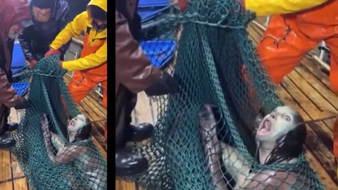 Images choquantes ! Un poisson humanoïde capturé
