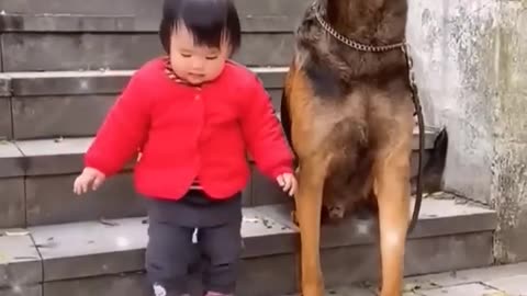 Dog vs child