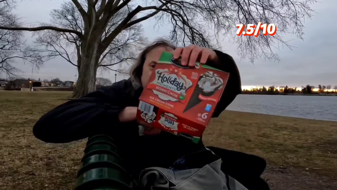 Chapman's Holiday Cones Review