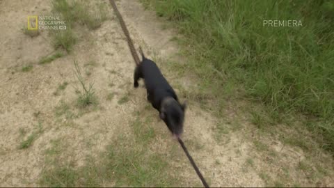 PRZESTĘPCZOŚĆ 4 dokument pl