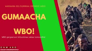 Gabaasa Gumaacha ONM-ABO Fulbaana 27-2025 itti dhiyaadhaa!