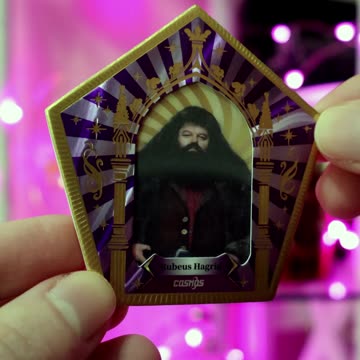 There's No Hogwarts Without You Hagrid. | Happy Birthday Hagrid!