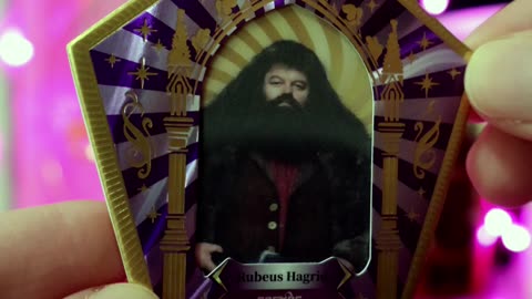 There's No Hogwarts Without You Hagrid. | Happy Birthday Hagrid!