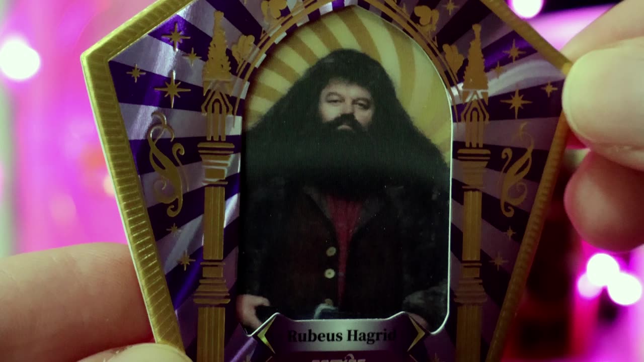 There's No Hogwarts Without You Hagrid. | Happy Birthday Hagrid!