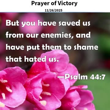 Prayer of Victory #youtubeshorts #grace #jesus #mercy #faith #fyp #trust #bless #gifts #victory #joy