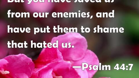 Prayer of Victory #youtubeshorts #grace #jesus #mercy #faith #fyp #trust #bless #gifts #victory #joy