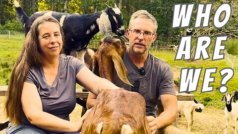 Meet The Farmers: Small NC Regenerative Livestock Farm