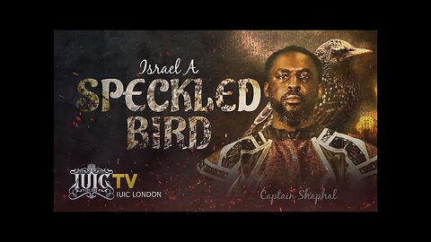 ISRAEL A SPECKLED BIRD