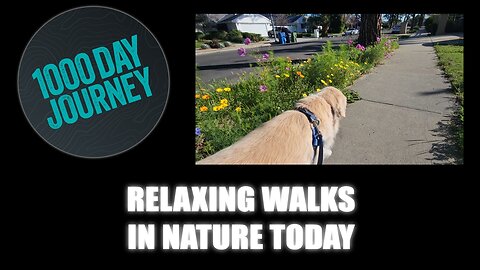 1000 Day Journey 0926 Relaxing Walks in Nature Today