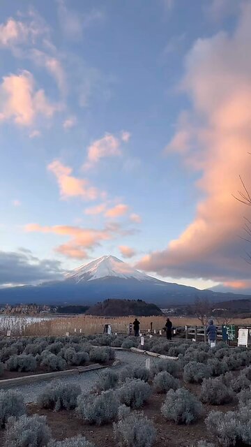 Mt. Fuji,Japan