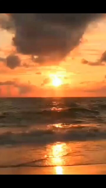 he trusts his wife ¯⁠\⁠_⁠(⁠ツ⁠)⁠_⁠/⁠¯