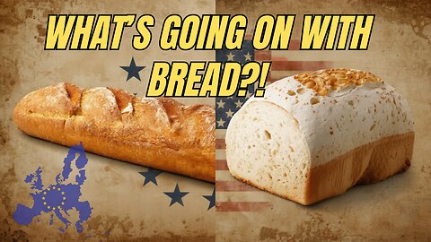 Why Can I have Bread in Europe but not the United States?!