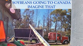 Soybeans Going To Canada Imagine That