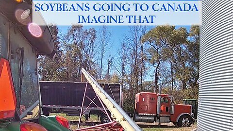 Soybeans Going To Canada Imagine That