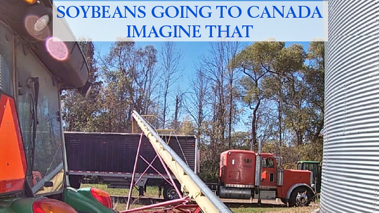 Soybeans Going To Canada Imagine That