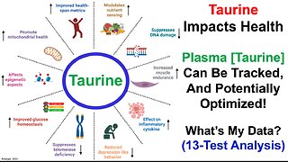 Tracking Plasma Taurine: 13-Test Analysis