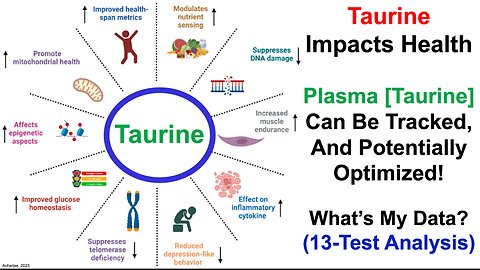 Tracking Plasma Taurine: 13-Test Analysis