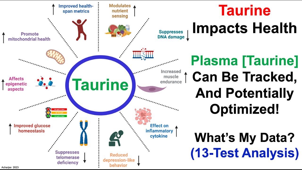 Tracking Plasma Taurine: 13-Test Analysis