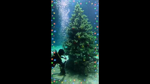 Instalan un árbol de Navidad en un acuario de Moscú
