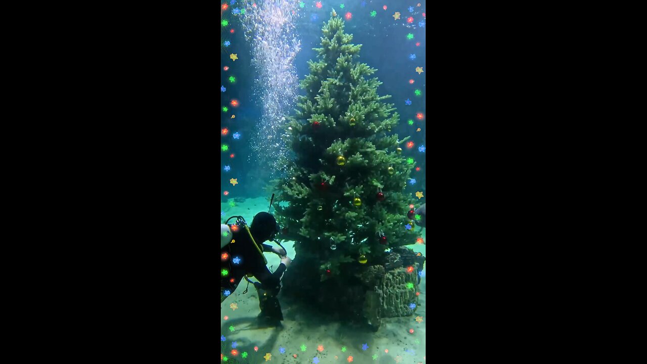 Instalan un árbol de Navidad en un acuario de Moscú
