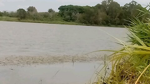 🧿 Don't Be Influenced By The Designs Of Those Around You-There's Something Unexpected Here ☯️