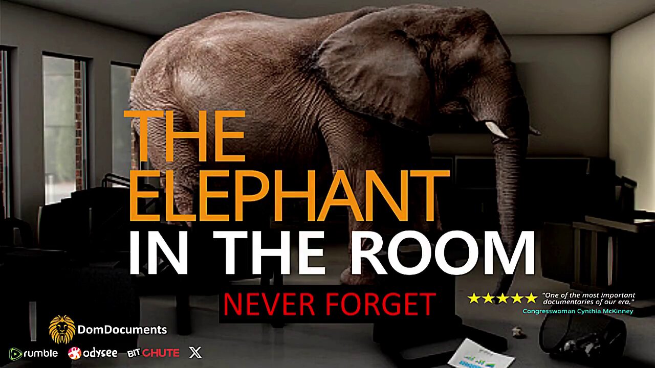 The Elephant in the Room | DomDocuments | (Scamdemic documentary)