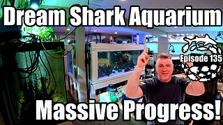 Massive Progress on My Dream Shark Aquarium & My Amazon Aquarium Room!