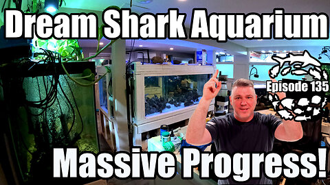 Massive Progress on My Dream Shark Aquarium & My Amazon Aquarium Room!