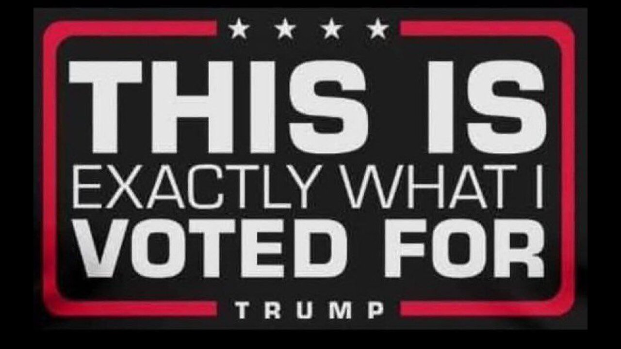 Texas election audit found thousands of illegal's on voter roll