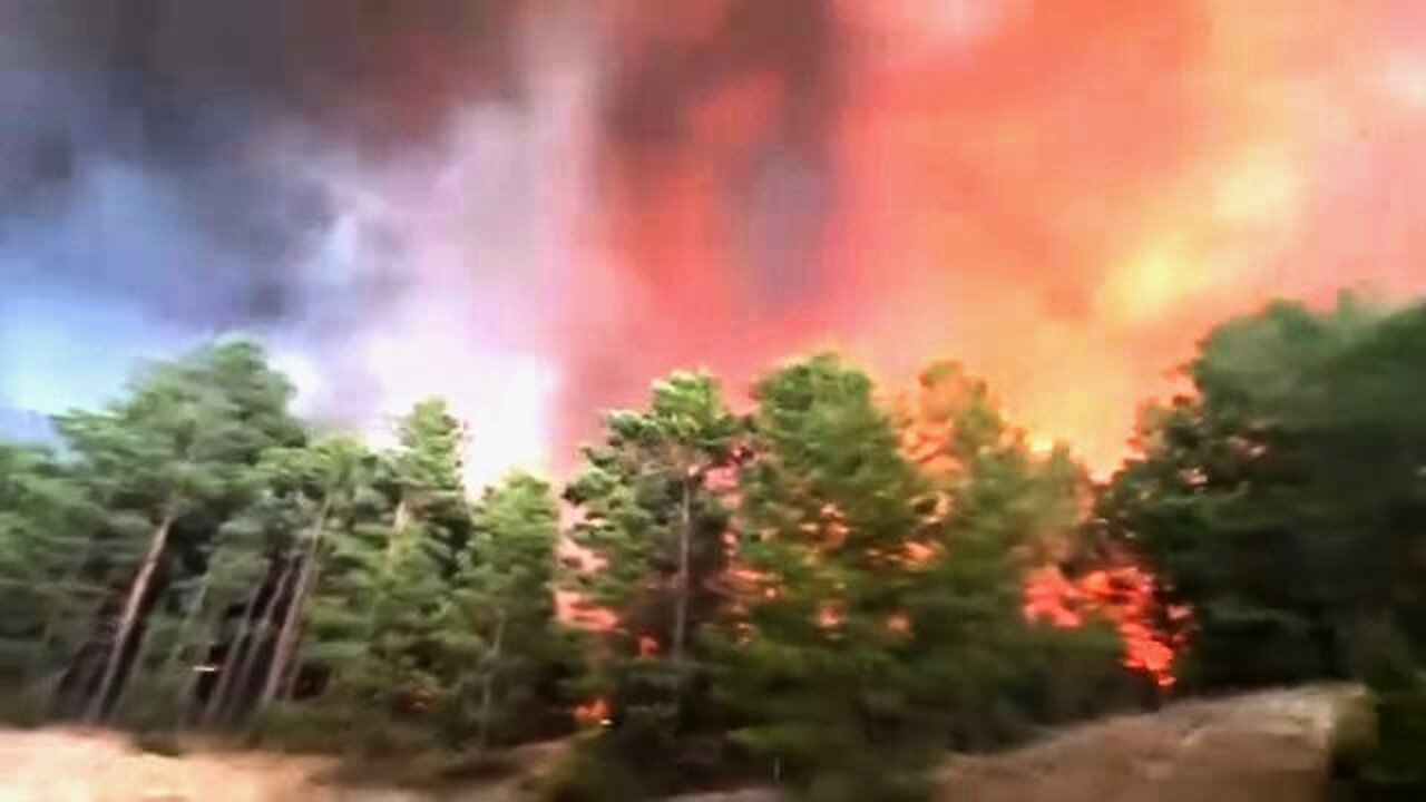 ტელეგრამი. ხერსონის ოლქის გოლოპრისტანსკის ტყეებში იწვის რუსული სამხედრო ტექნიკა. 04. 07. 2024