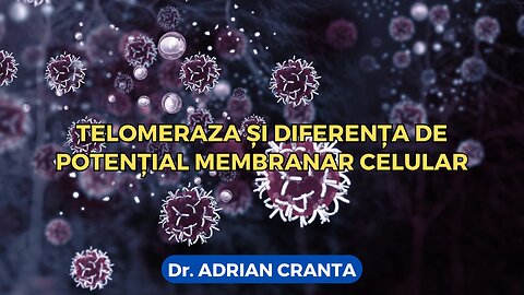 Telomeraza și diferența de potențial membranar celular