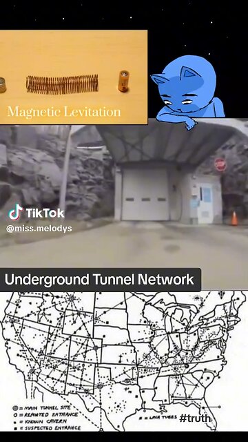 Jim Willy On Maglev Trains