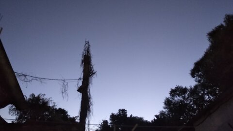 Noche con los perritos - Tacuarembó 02/12/2026