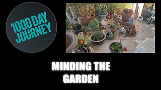 1000 Day Journey 0833 Minding the Garden while the grand is away
