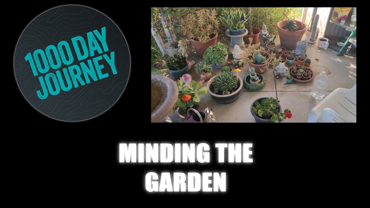 1000 Day Journey 0833 Minding the Garden while the grand is away