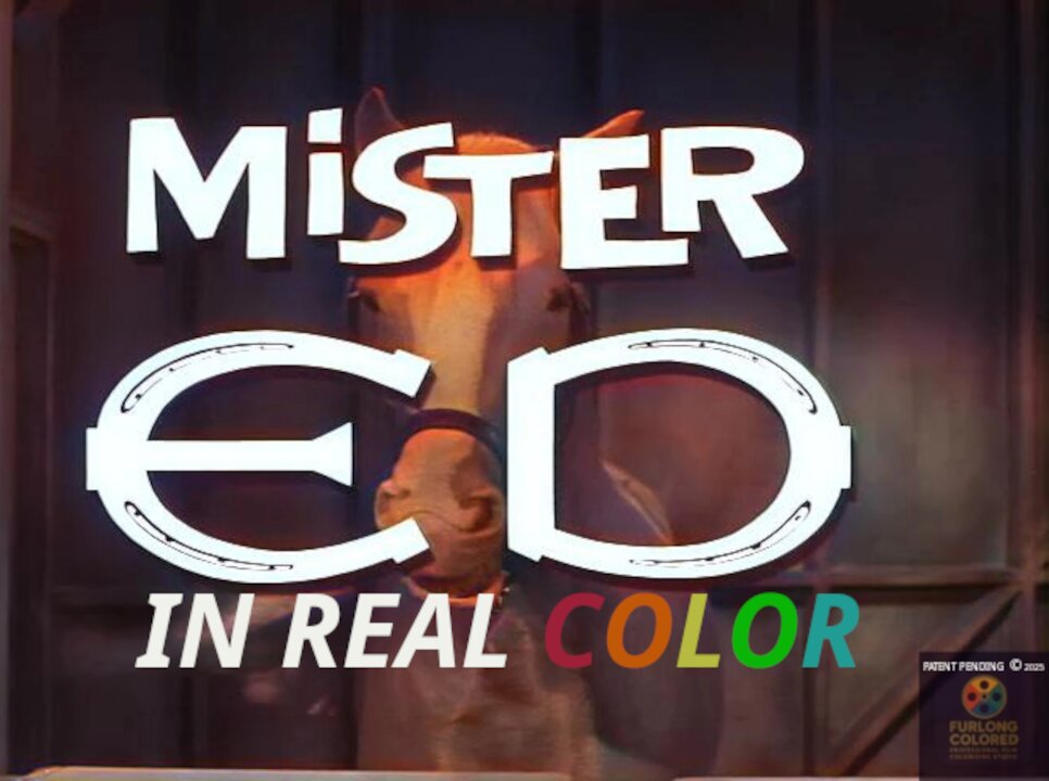 🐴 Mr. Ed (1961) S01E01 – The First Meeting | In Real Color | Full Episode