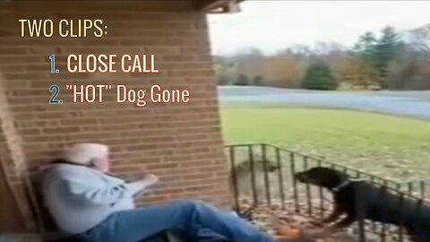 2 NEW CLIPS: CLOSE CALL / "HOT" Dog Gone