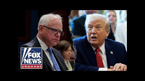 'NO GUARD RAILS!': More Minnesota fraud uncovered