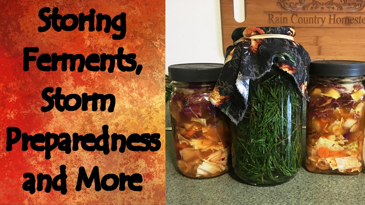 Storing Ferments, Storm Preparedness, and More Q&A #11