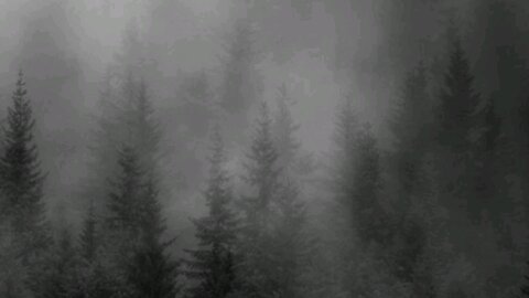 Just feel the music