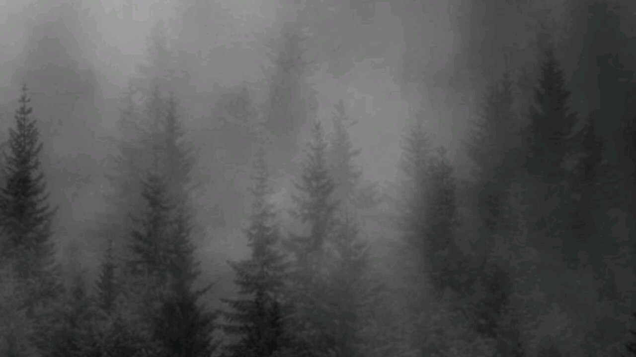 Just feel the music