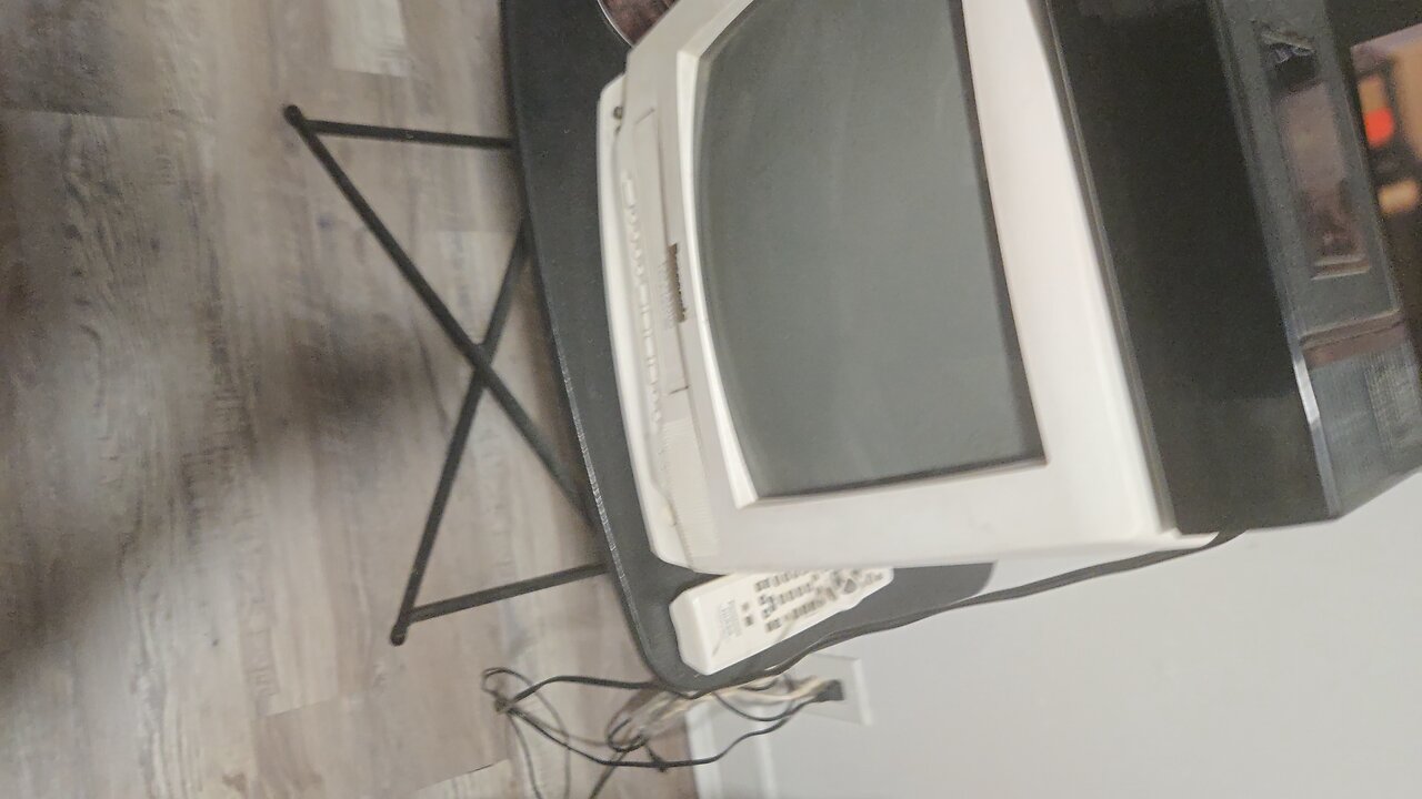 opening to 101 dalmatians