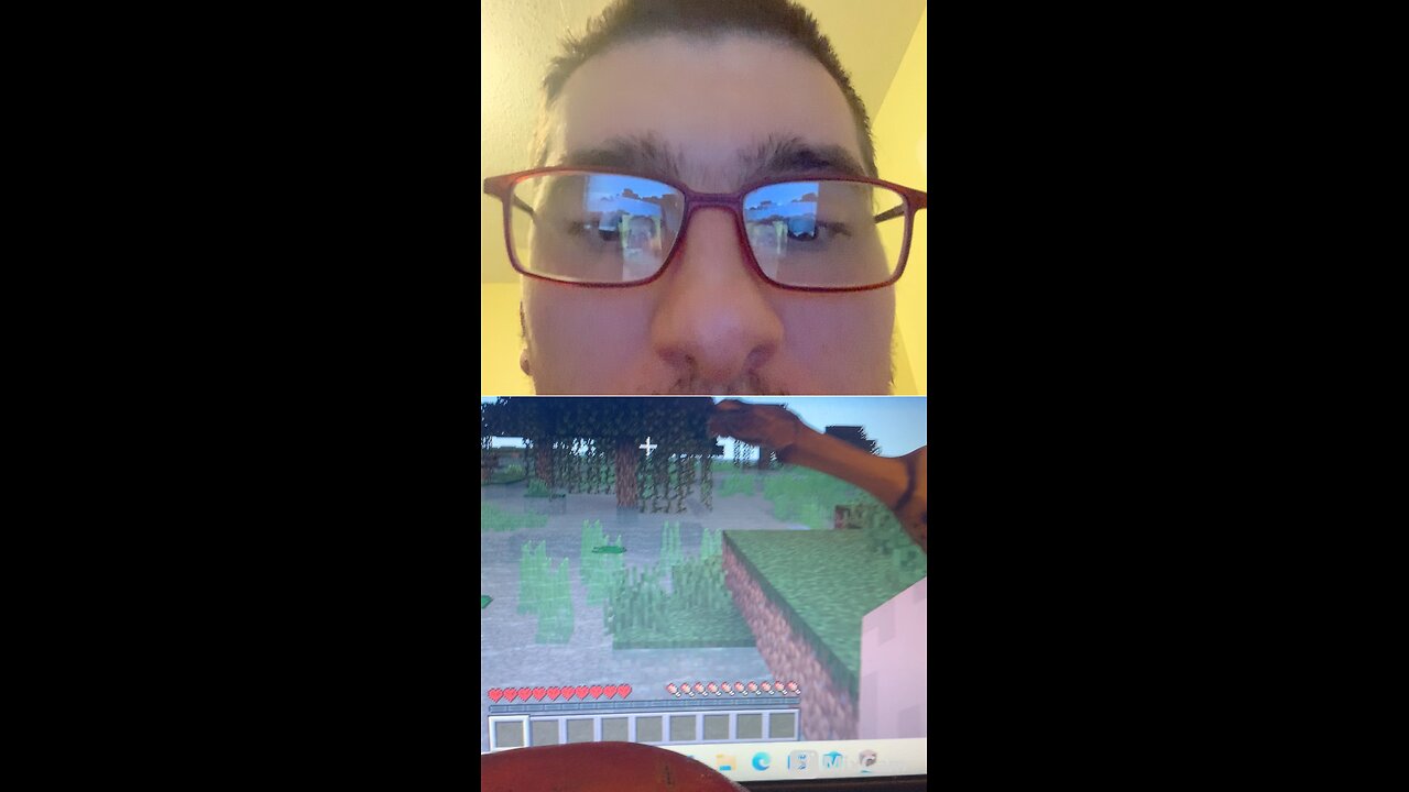 Playing Minecraft