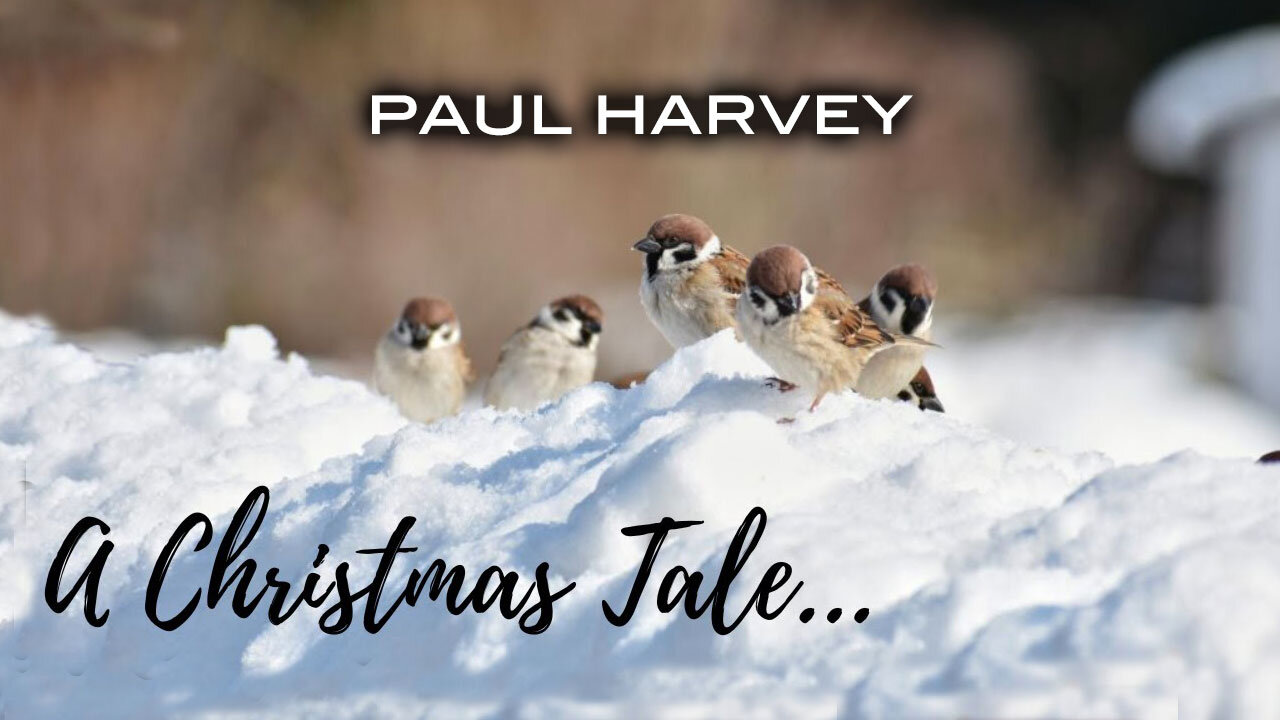 Paul Harvey: A Christmas Tale