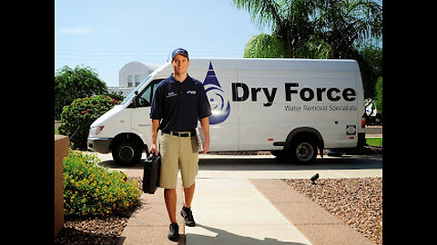 Get Your Home Back to Normal After Water Damage | Dry Force