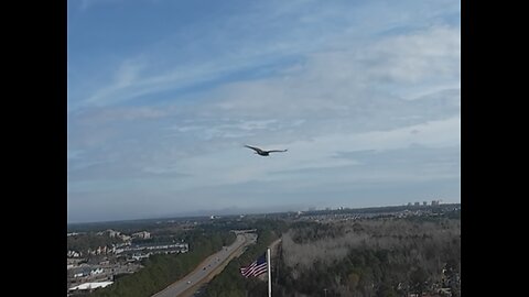 🦅 Intergalactic - Beastie Boys 🦅