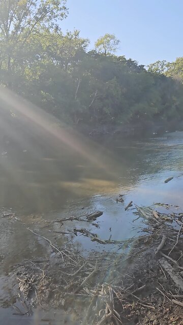 Lots More Geese on Salt Creek