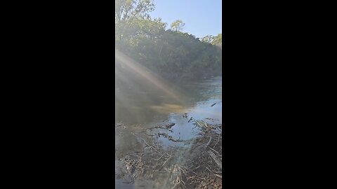 Lots More Geese on Salt Creek
