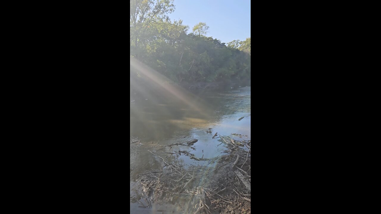 Lots More Geese on Salt Creek